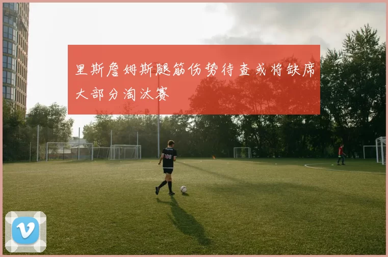 里斯詹姆斯腿筋伤势待查或将缺席大部分淘汰赛