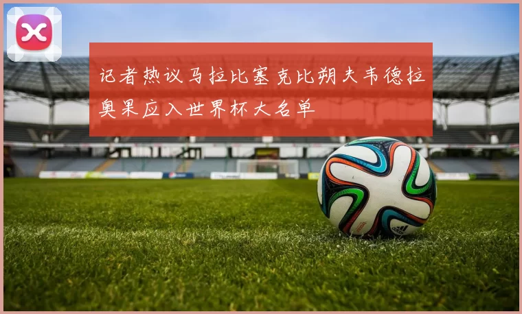 记者热议马拉比塞克比朔夫韦德拉奥果应入世界杯大名单